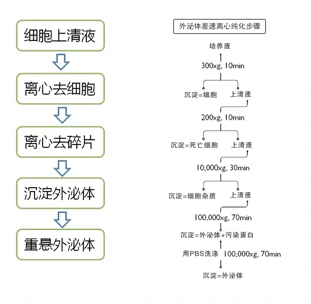 多多28·(中国平台)官方网站